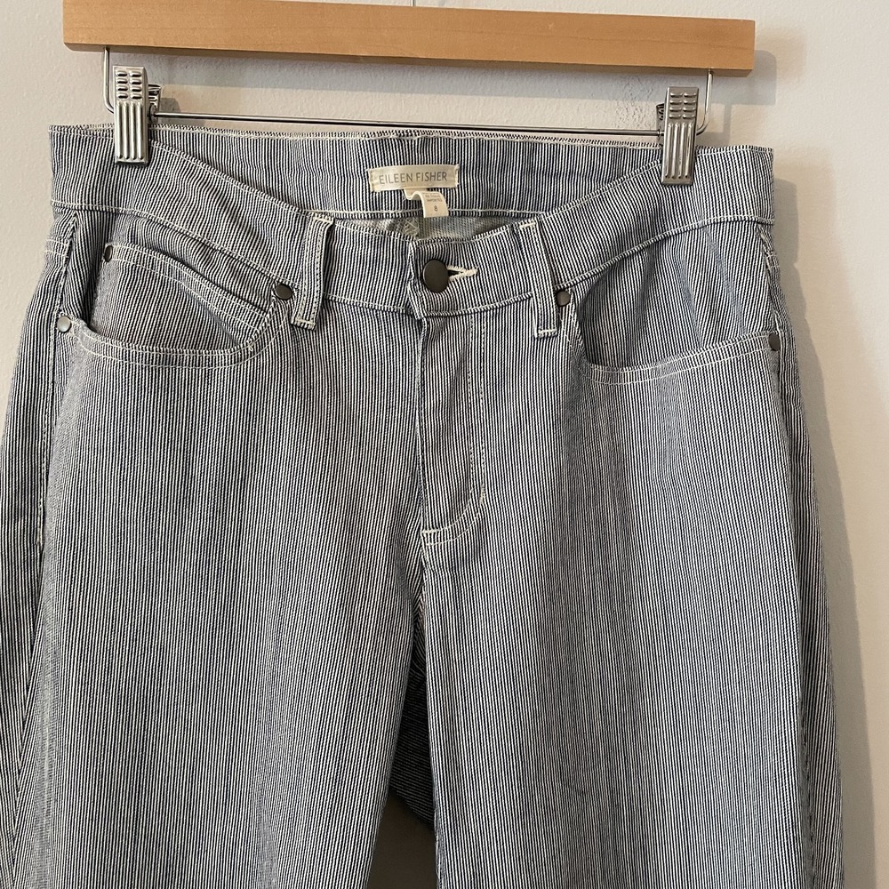 Eileen Fisher Railroad Striped Skinny Jeans Blue White Size 8 Minimalist Stretch - Picture 5 of 9